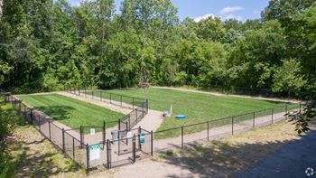 Dog park